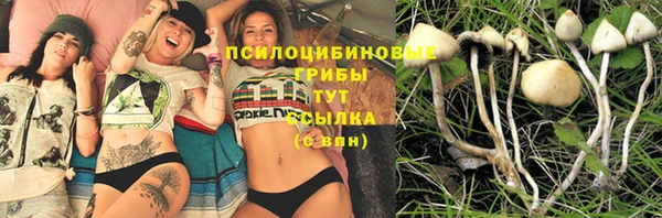 прущая мука Коряжма