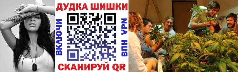 Купить закладки  Сретенск  Бошки марихуана тримм 